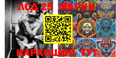 хмурый Сланцы