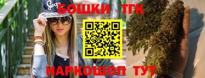 хмурый Сланцы