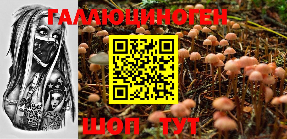 Псилоцибиновые грибы GOLDEN TEACHER Орёл